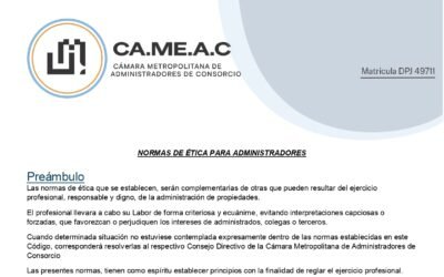 NORMAS DE ÉTICA PROFESIONAL